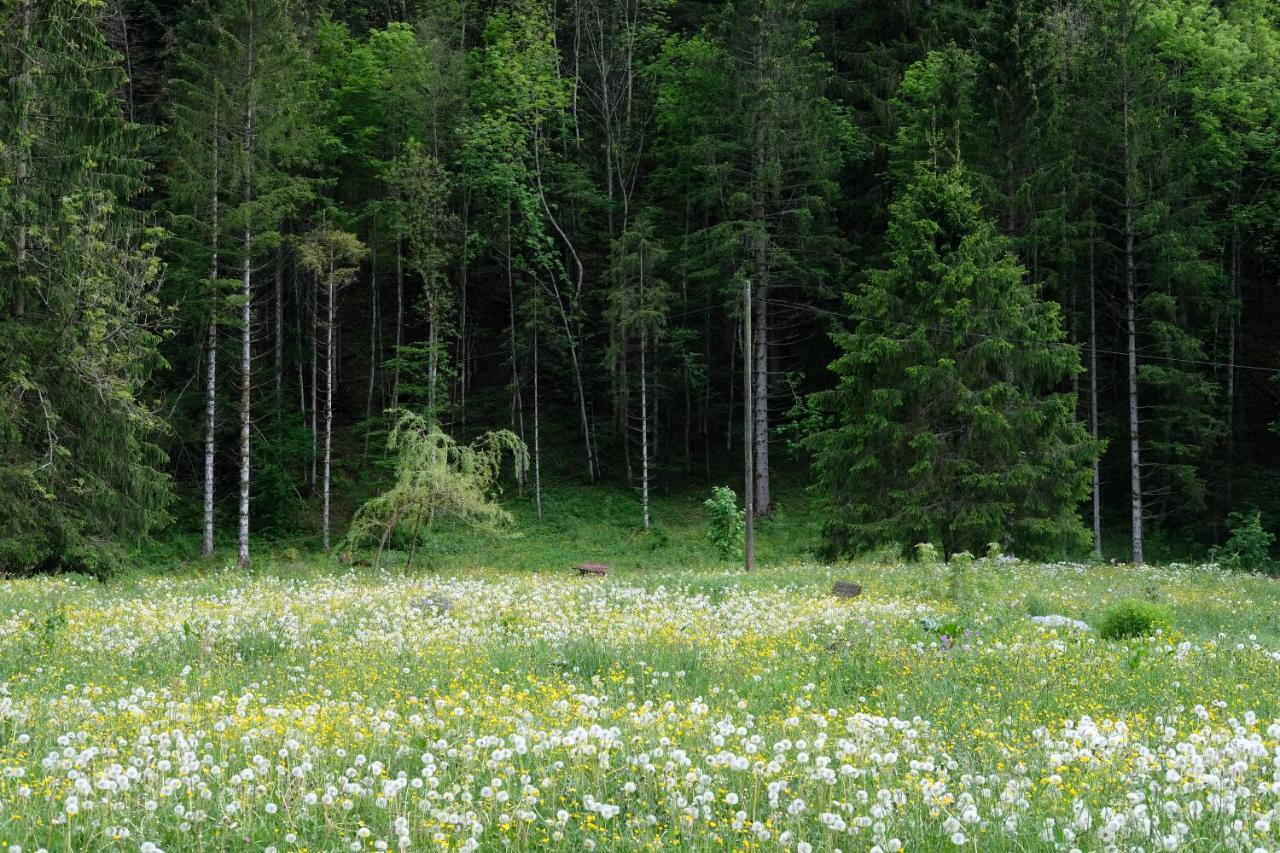Riversong Centre Thermal Les Plans-sur-Bex Zewnętrze zdjęcie